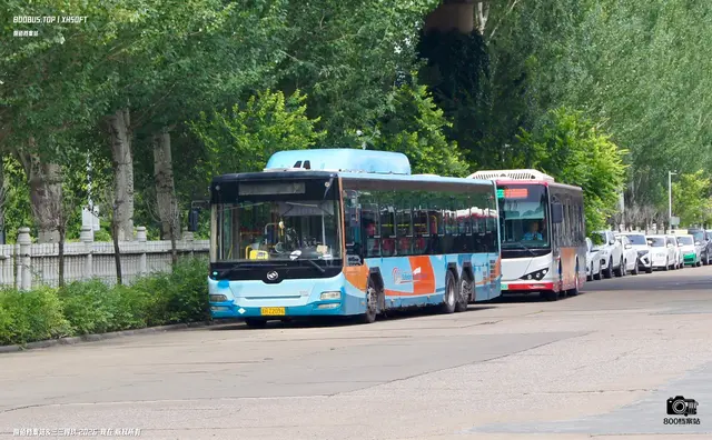 800BUS