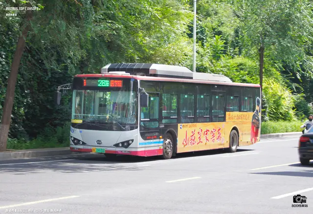 800BUS