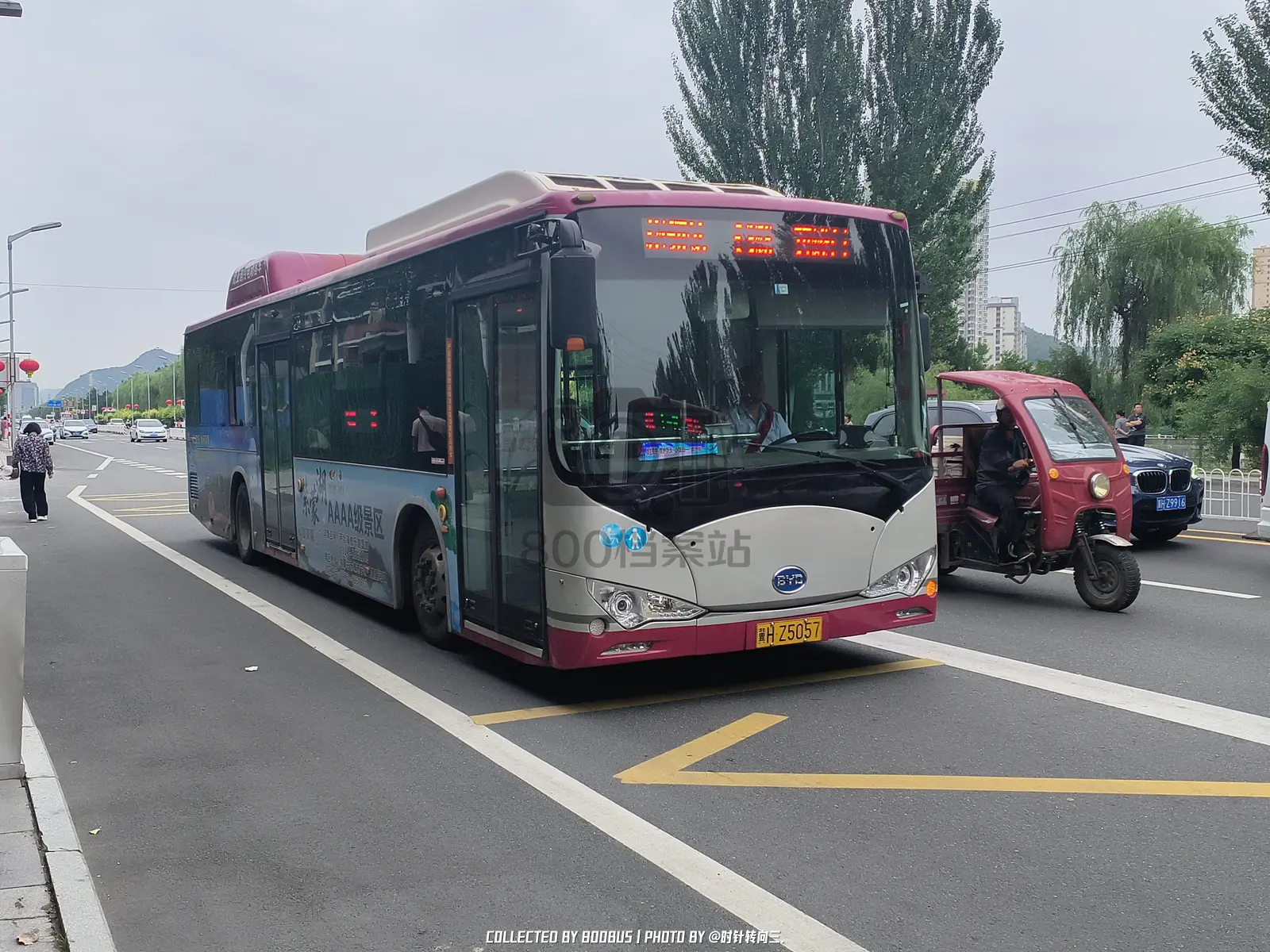 Bus Archive