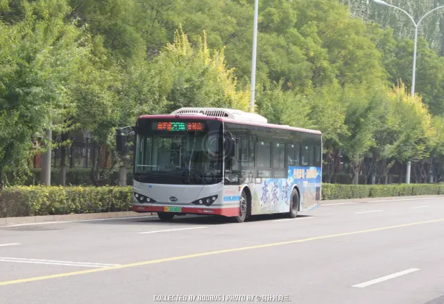 冀H 02365D