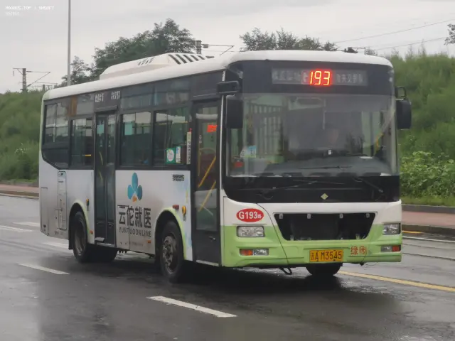 800BUS