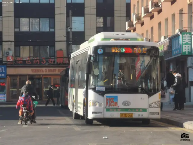 800BUS
