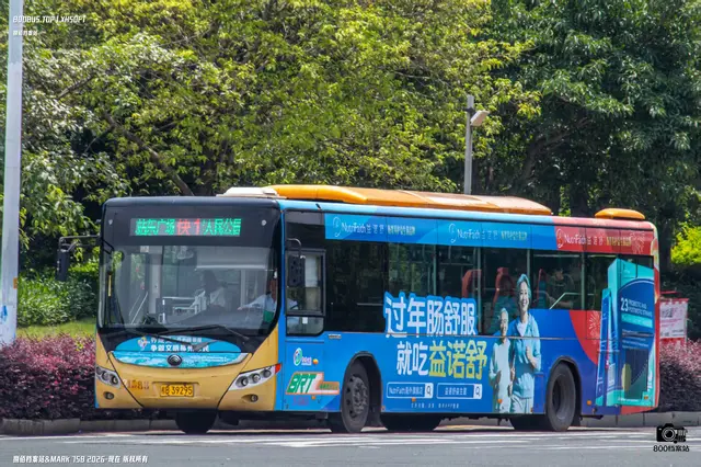 800BUS