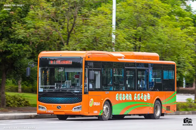 800BUS