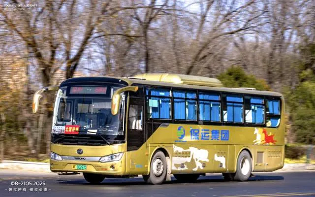 冀F00277D
