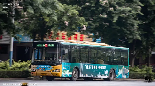 800BUS