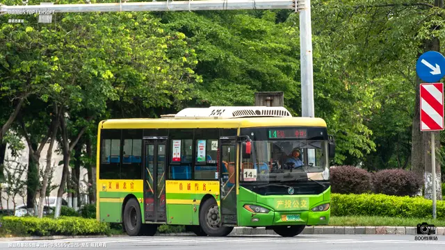 桂G 00238D
