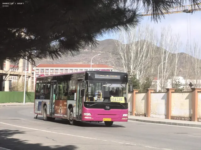 800BUS