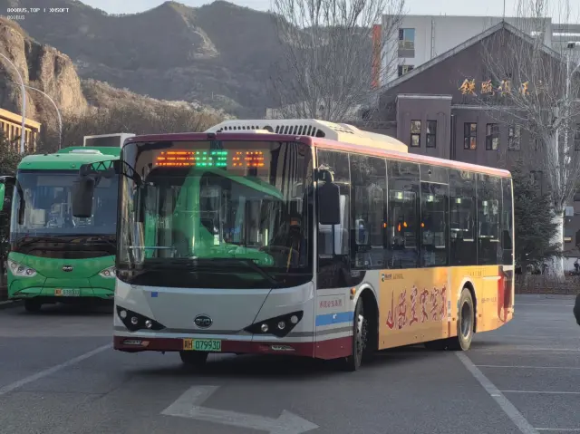800BUS