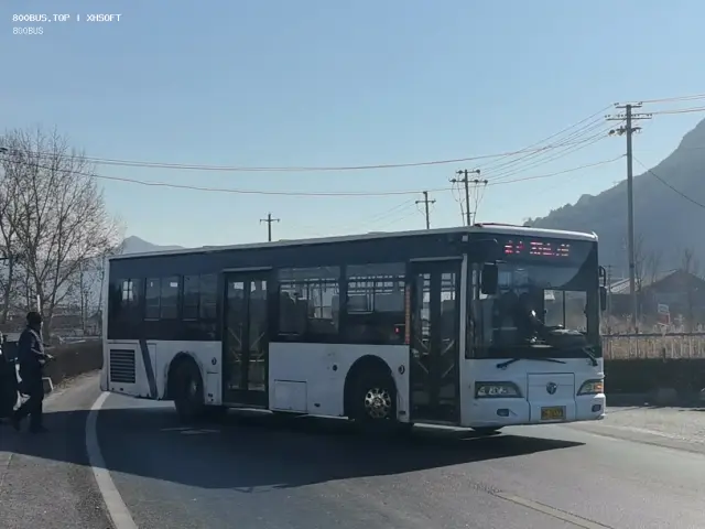 800BUS