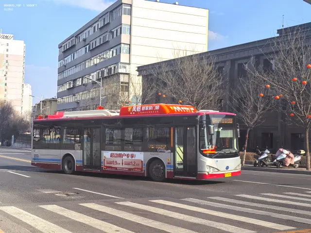 800BUS