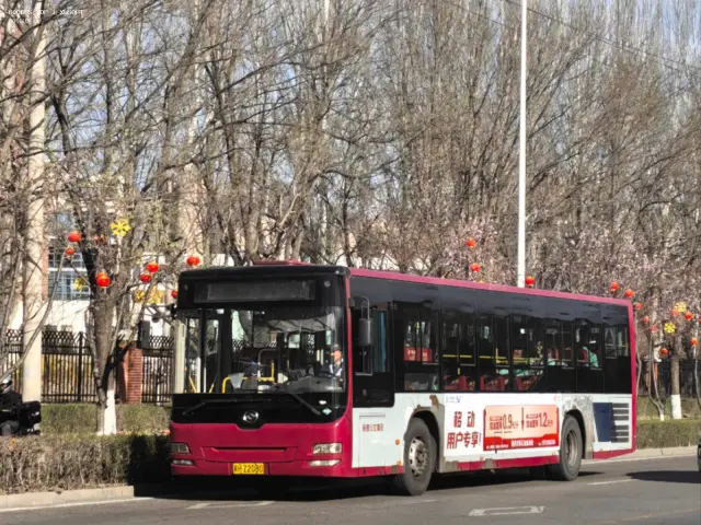 800BUS
