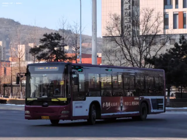800BUS