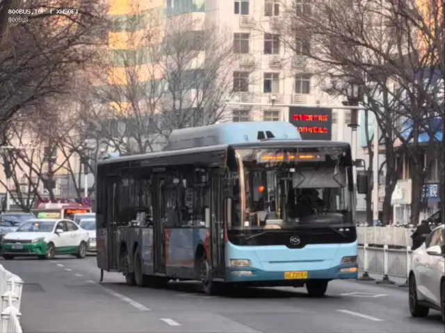 800BUS
