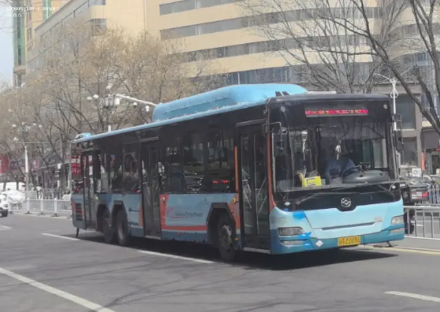 800BUS