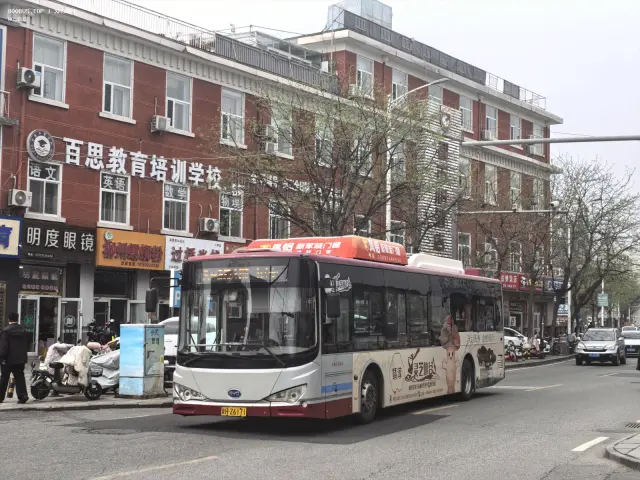 800BUS