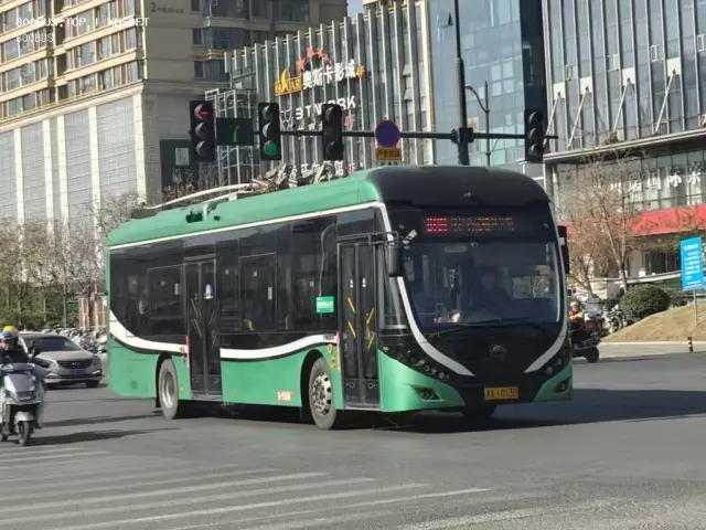 800BUS