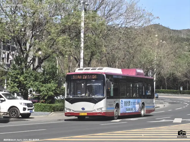 冀H·Z9266