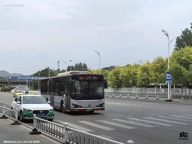 冀H 07099D