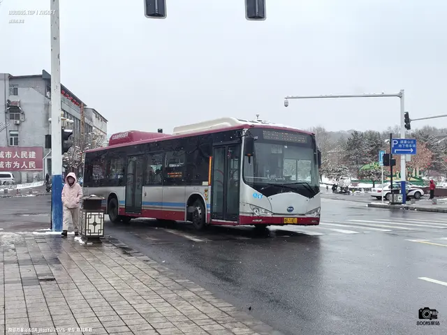 冀H Z1811
