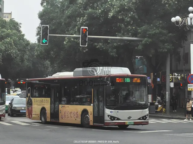 800BUS