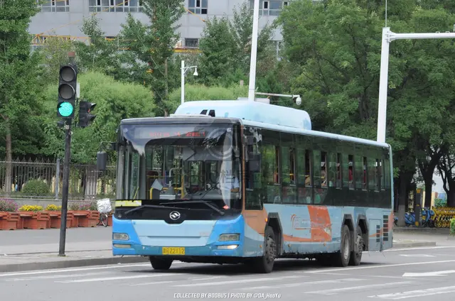 800BUS