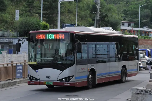 800BUS