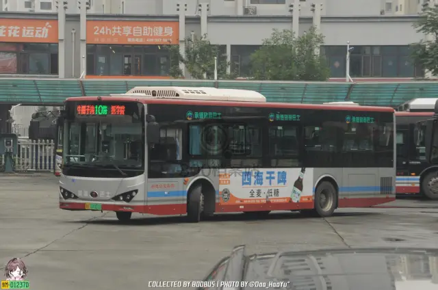 冀H 07001D