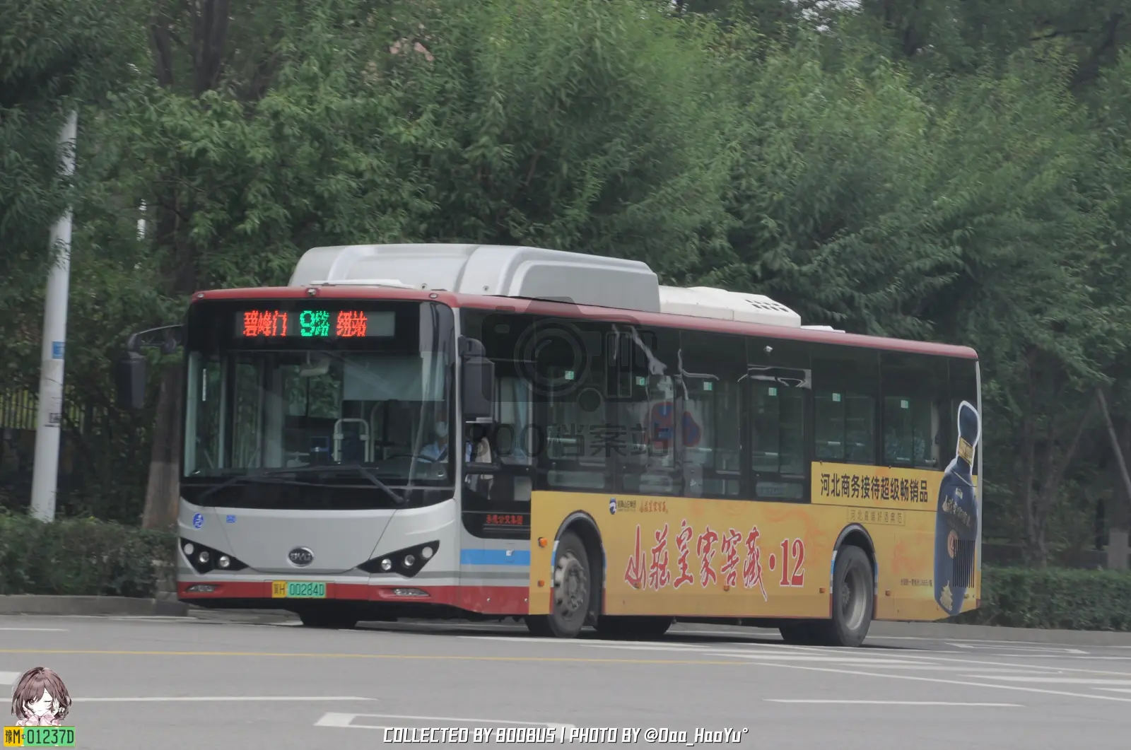 Bus Archive