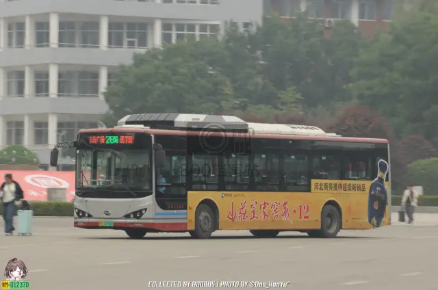 冀H 07960D