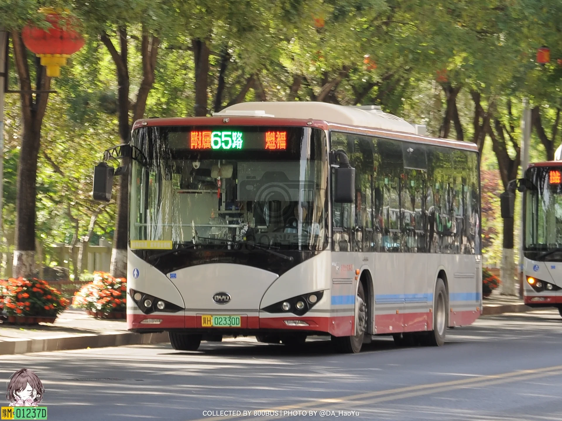 Bus Archive