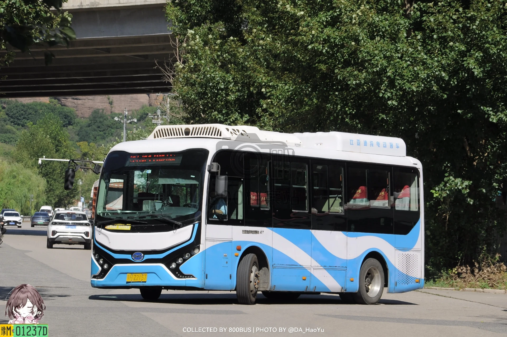 Bus Archive