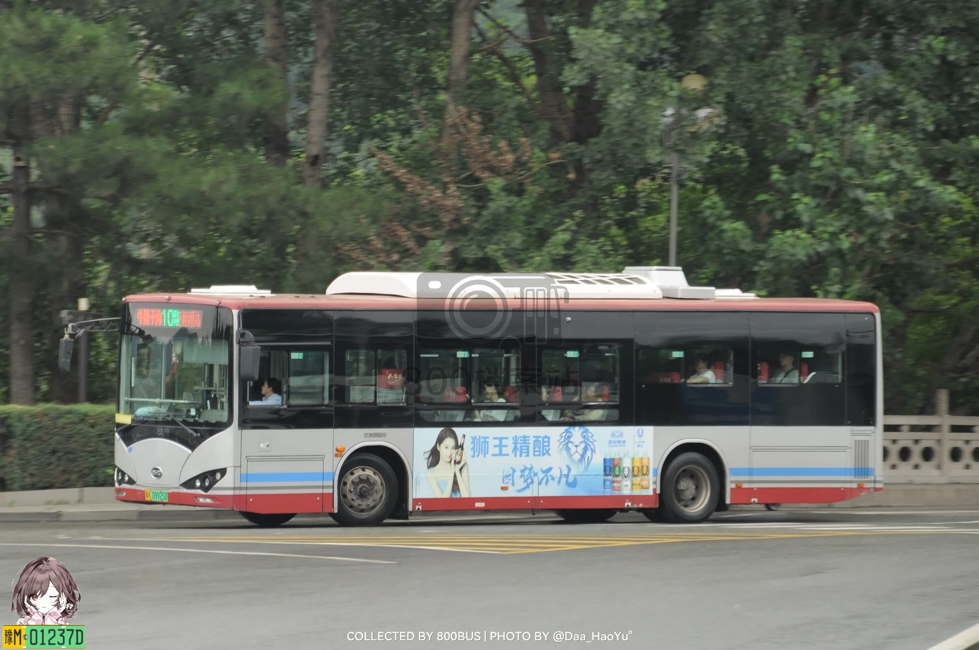 Bus Archive