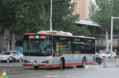 冀H 03959D