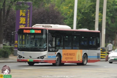 冀H 08655D
