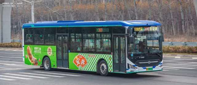 鲁A05181D