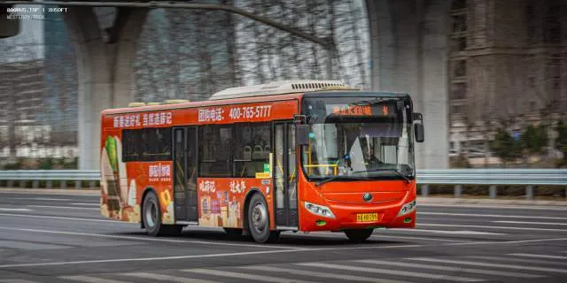 鲁AH0795