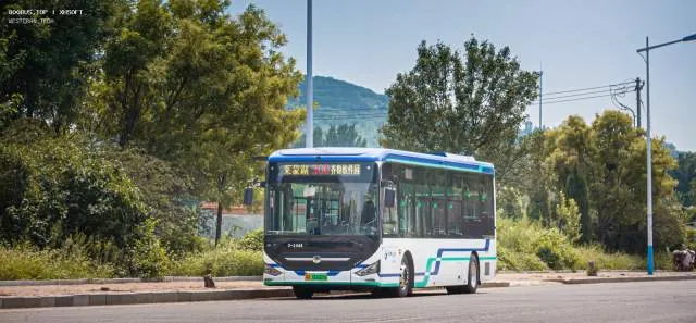 鲁A00069D