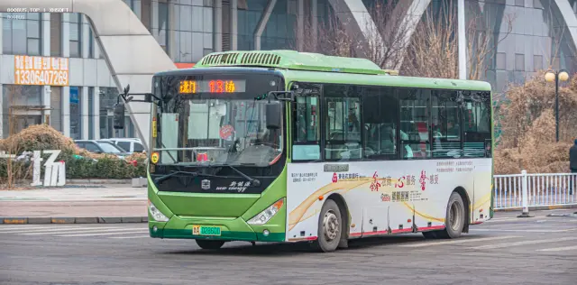 800BUS