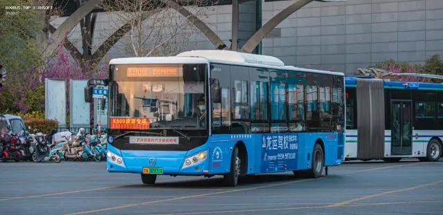 800BUS