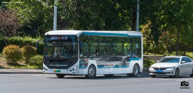 鲁A81262D