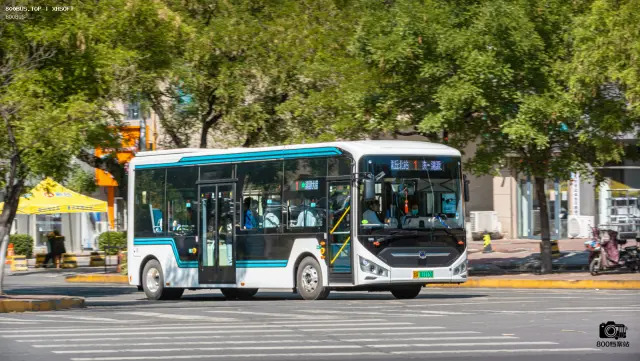 800BUS