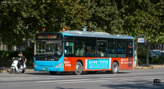 800BUS
