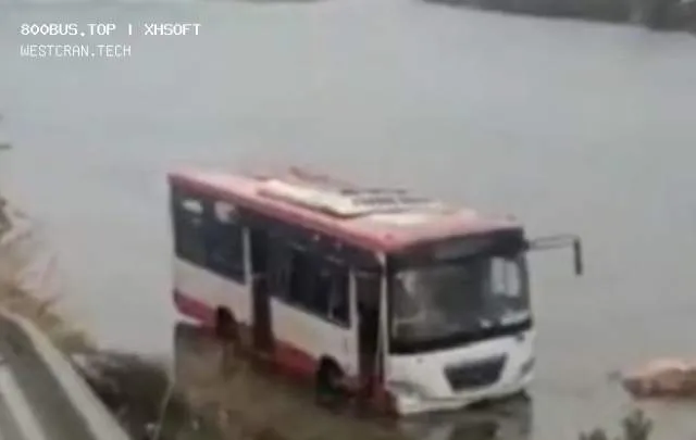 掉河里了
