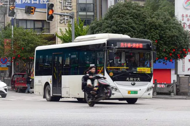 桂C·11386D