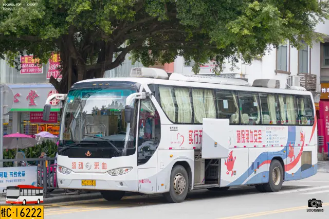800BUS