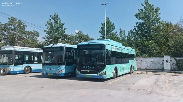 苏B·00977F/苏B·01911F