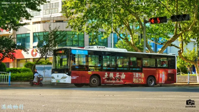 800BUS