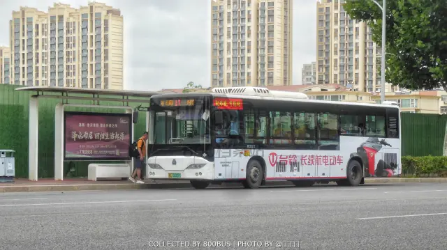 鲁L 08009F