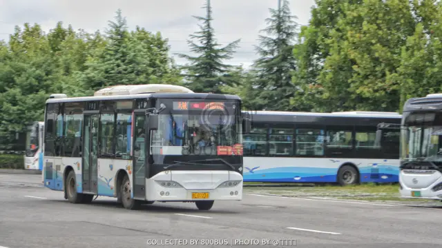 鲁L D7231